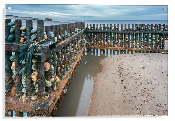 Groynes on Caister Beach Acrylic by Stephen Mole