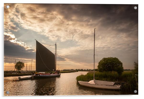 The Wherry Albion Acrylic by Stephen Mole