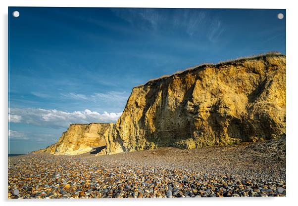 Golden Cliffs Acrylic by Stephen Mole