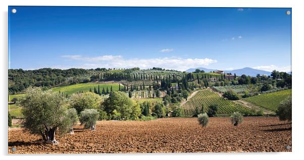 Tuscany Landscape Acrylic by Stephen Mole