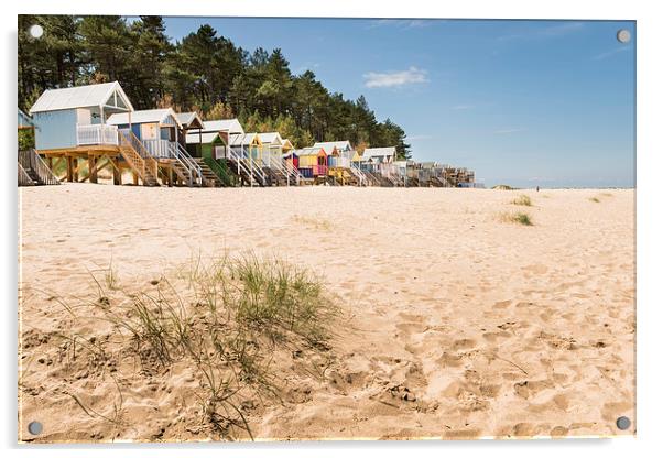 Wells Beach and Beach Huts Acrylic by Stephen Mole