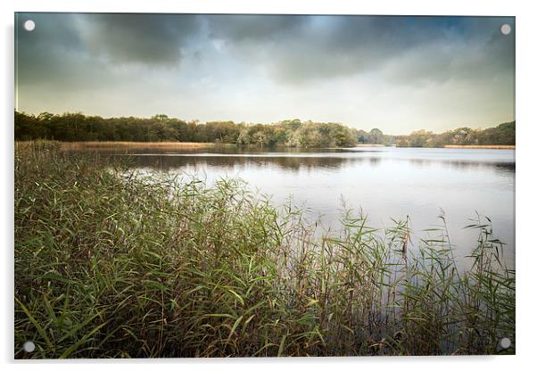  Ormesby Broad Acrylic by Stephen Mole