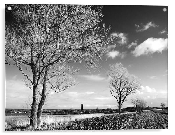 Looking across the fields  towards Winterton, Norf Acrylic by Stephen Mole
