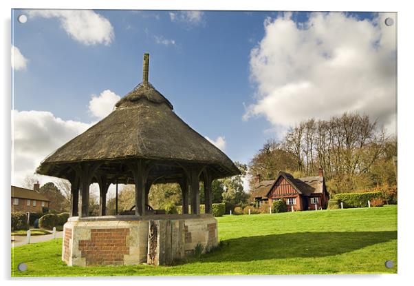 Thatched shelter Acrylic by Stephen Mole