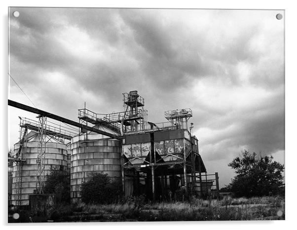 Abandoned factory Acrylic by Stephen Mole