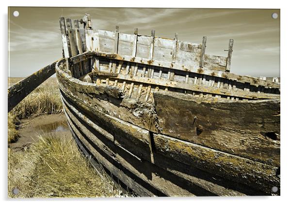 Rotting Boat Acrylic by Stephen Mole
