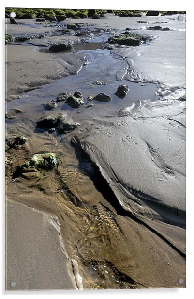 Sandy stream Acrylic by Stephen Mole