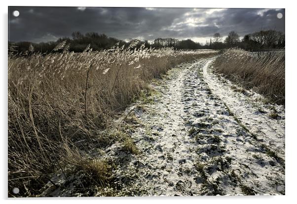 Snow tracks Acrylic by Stephen Mole