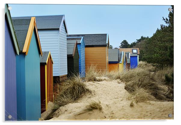 Beach huts at Wells Acrylic by Stephen Mole