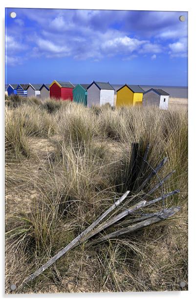 Beach huts through the dunes , Southwold Acrylic by Stephen Mole