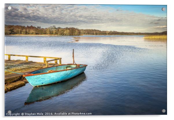 A small boat on Filby Broad Acrylic by Stephen Mole