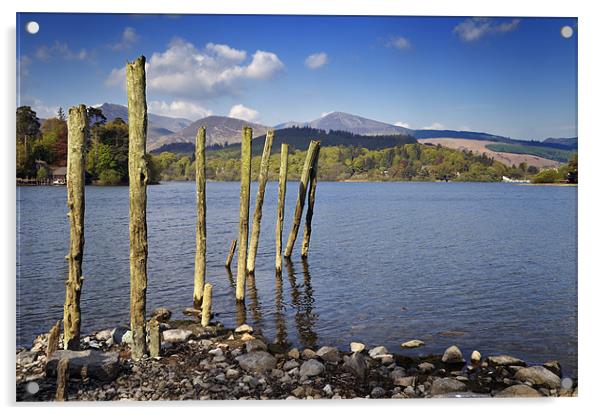 Old wooden poles on Derwent Water Acrylic by Stephen Mole