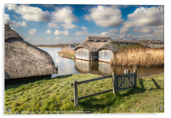 Boathouses at Hickling Broad Acrylic by Stephen Mole