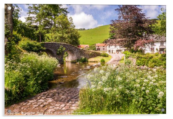 Malmsmeade, Devon Acrylic by Stephen Mole