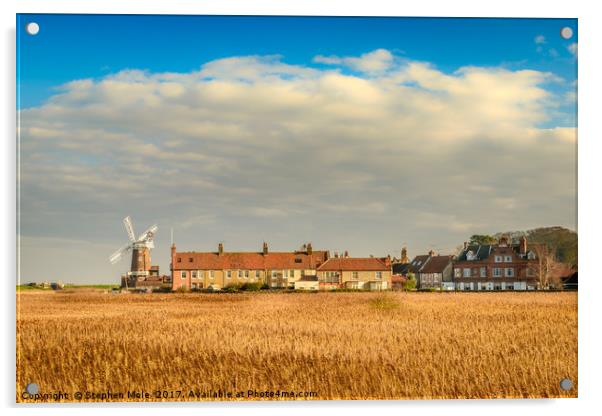 Cley Mill over the fields Acrylic by Stephen Mole