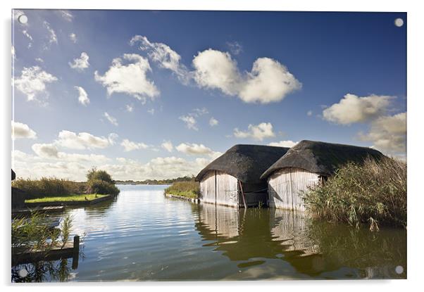 Thatched Boat Sheds Acrylic by Stephen Mole