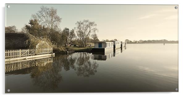 Boat Houses - desaturated Acrylic by Stephen Mole