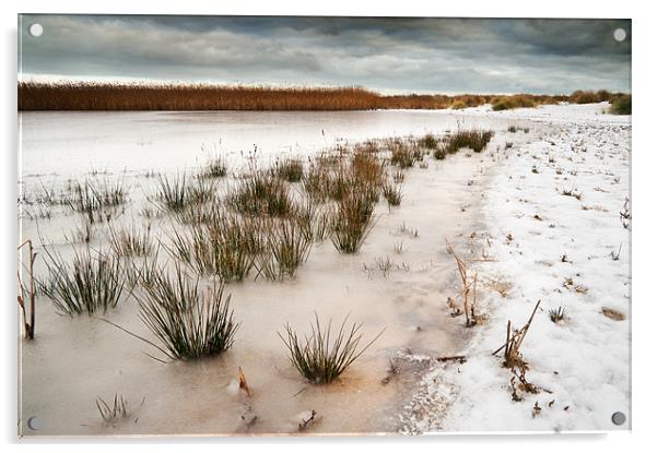 Frozen salt marsh Acrylic by Stephen Mole