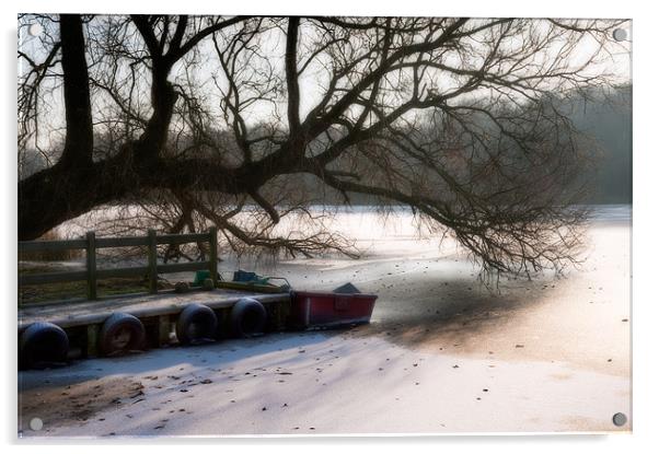 Frozen Ormesby Broad Acrylic by Stephen Mole