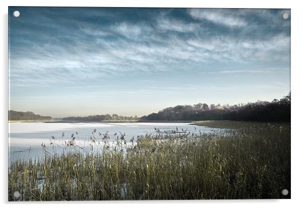 Ormesby Broad under snow and ice Acrylic by Stephen Mole