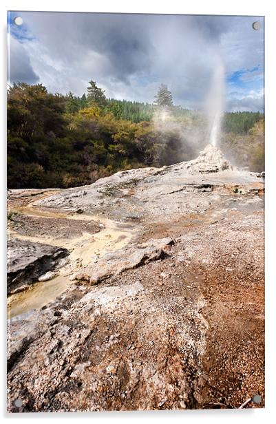 Lady Knox Geyser, Wai O Tapu, New Zealand Acrylic by Stephen Mole