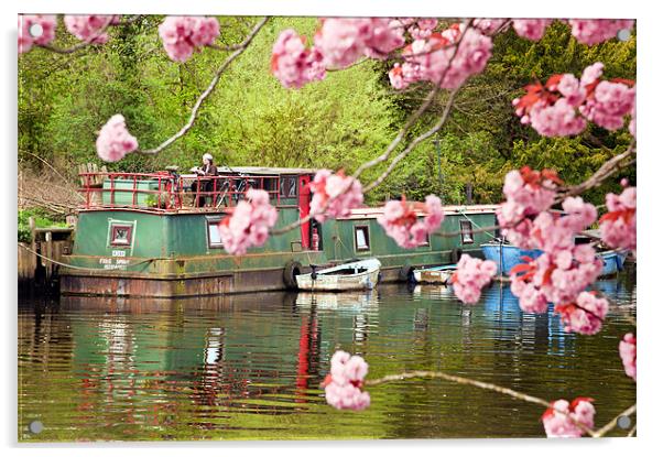 Houseboat in spring Acrylic by Stephen Mole