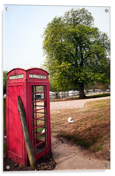 Red Telephone Box in spring Acrylic by Stephen Mole