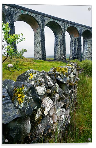 Ribblehead Viaduct and dry stone wall Acrylic by Stephen Mole