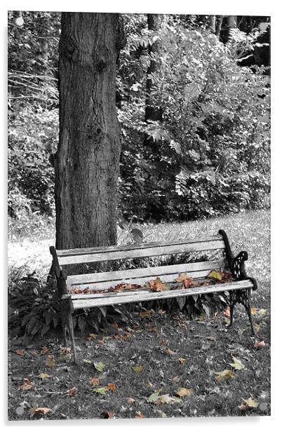 Lonely Autumn Bench Acrylic by Jean Scott