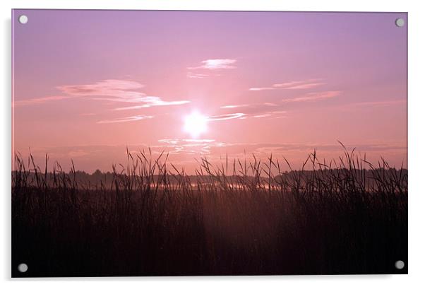 Sunrise Over the Marsh Acrylic by Jean Scott