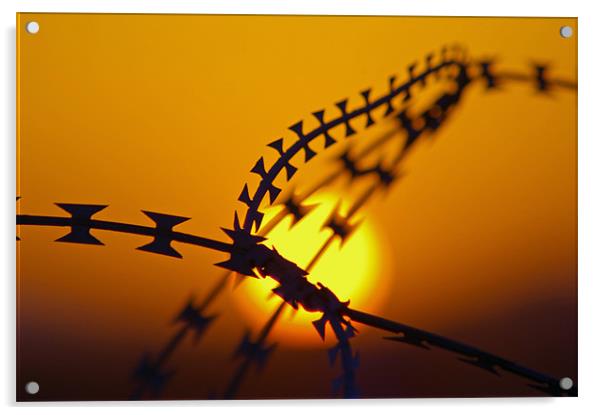 razor wire Acrylic by allen martin