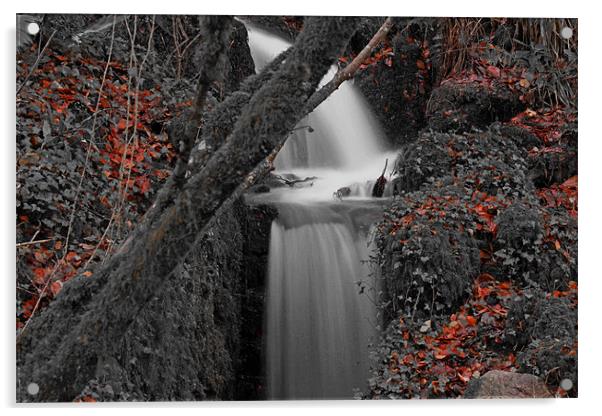 waterfall Acrylic by allen martin
