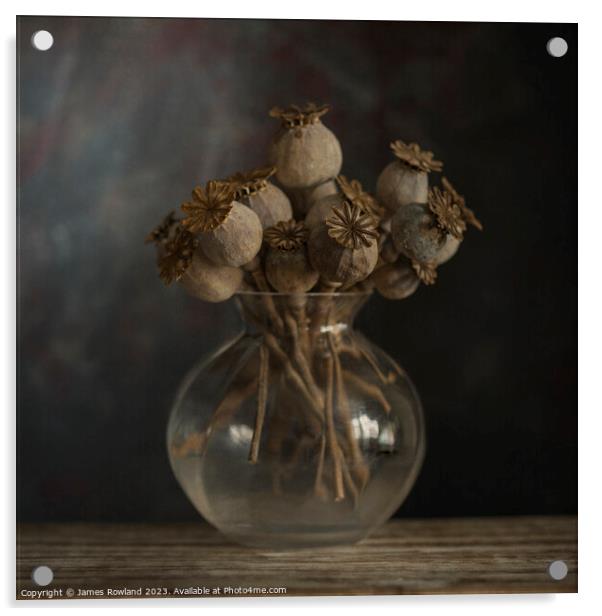 Dried Poppy Still Life Acrylic by James Rowland