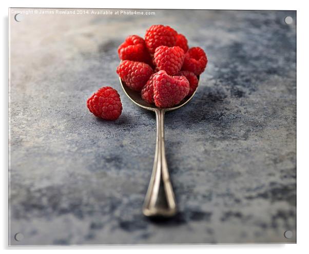  Raspberries Acrylic by James Rowland