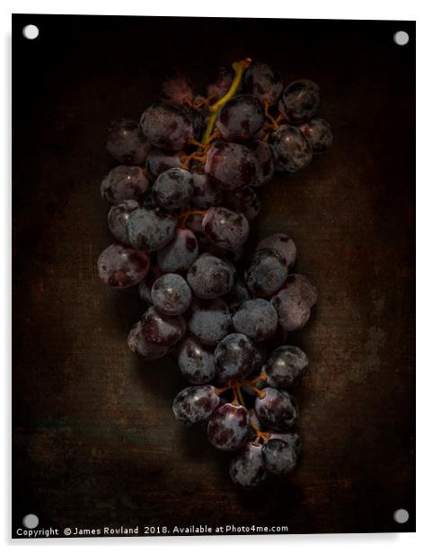Dark Grapes Acrylic by James Rowland