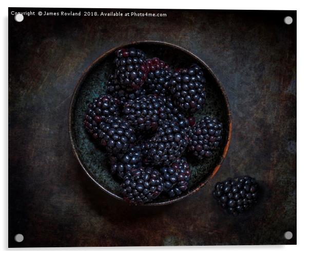 Blackberry Bowl Acrylic by James Rowland