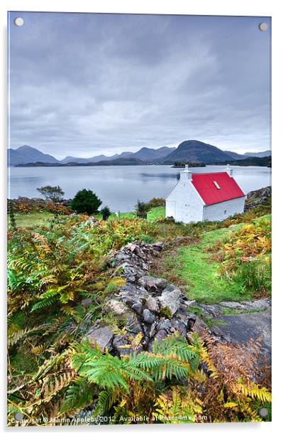 Torridon View. Acrylic by Martin Appleby