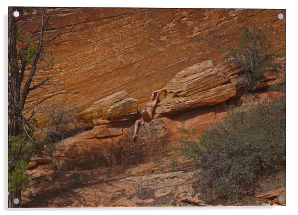 Nude in the Canyon Acrylic by Amy Rogers