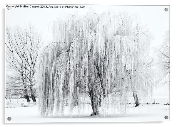 Winter Willow Acrylic by Mike Dawson