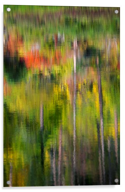 Autumn Impressions Acrylic by Mike Dawson