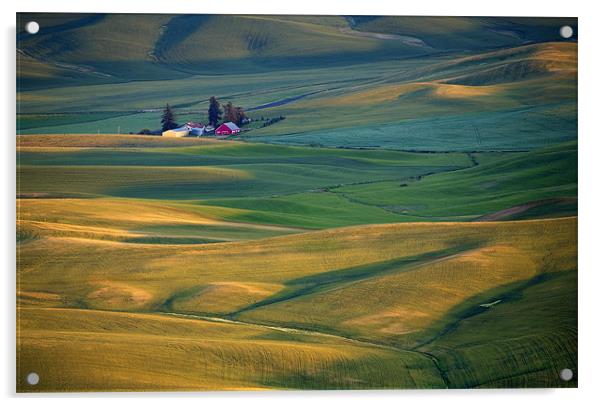 Palouse Barn Acrylic by Mike Dawson