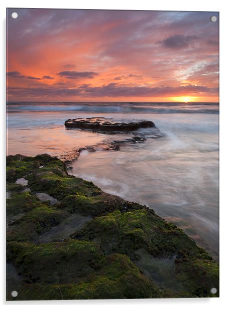 Swamis Beach Sunset Acrylic by Mike Dawson