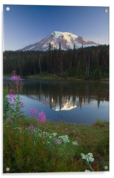 Mountain Morning  Acrylic by Mike Dawson