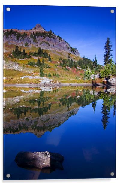 Reflections of Fall  Acrylic by Mike Dawson