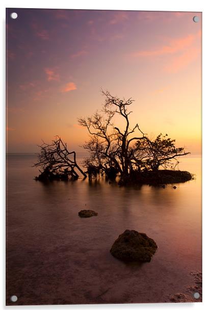 Florida Keys Sunset Acrylic by Mike Dawson
