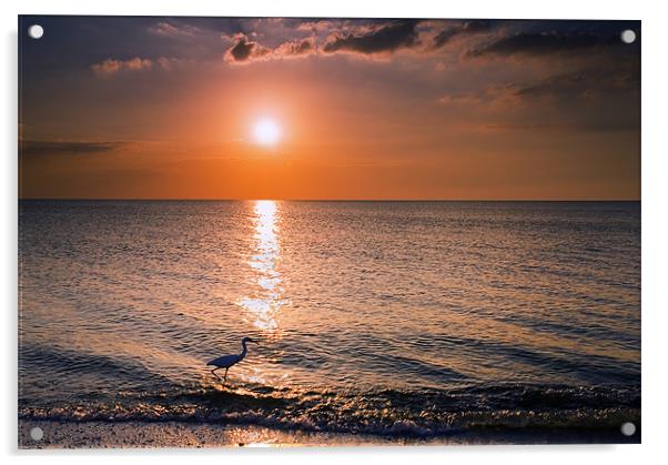 Sunset Fisherman Acrylic by Mike Dawson