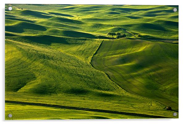 Palouse Patterns Acrylic by Mike Dawson