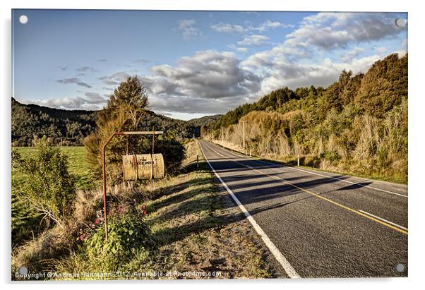 The Beez Neez - New Zealand Roadtrip Acrylic by Andreas Hartmann