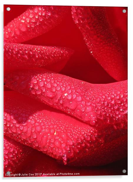 Rose Petals Acrylic by Julie Coe