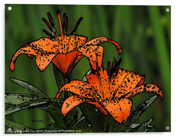 Lilies - Cartoon Style Acrylic by Julie Coe